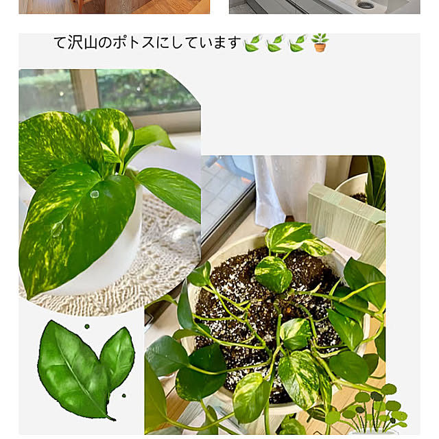 YuuKoさんの部屋
