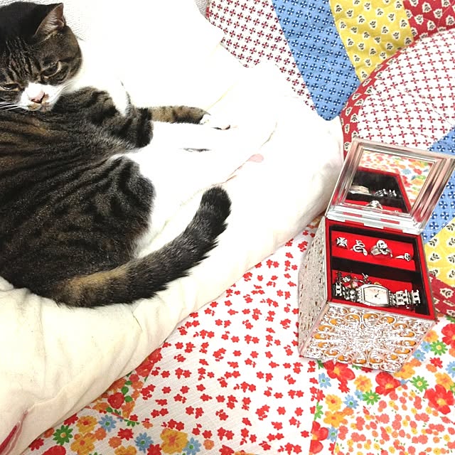 jdannabcさんの実例写真