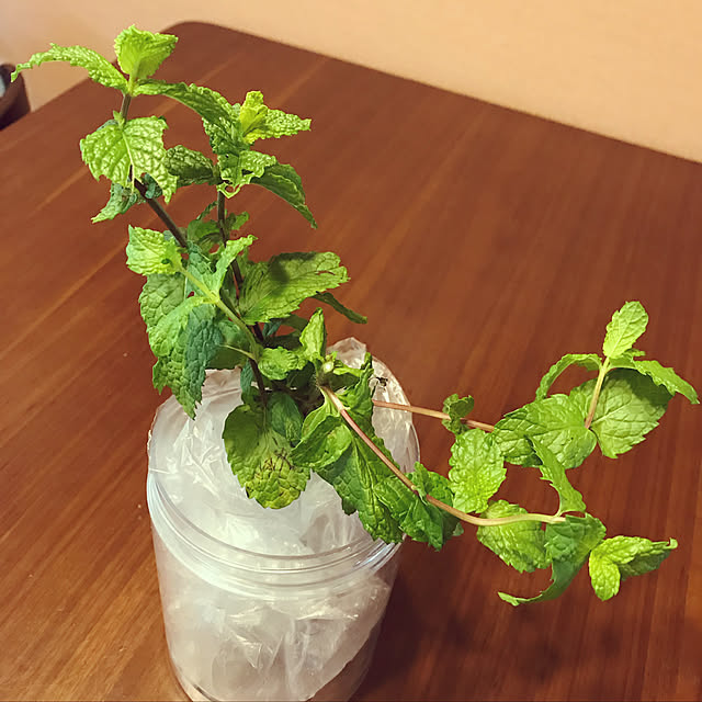 harvestさんの実例写真