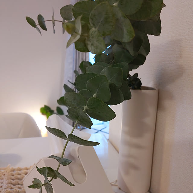 amimamaさんの実例写真