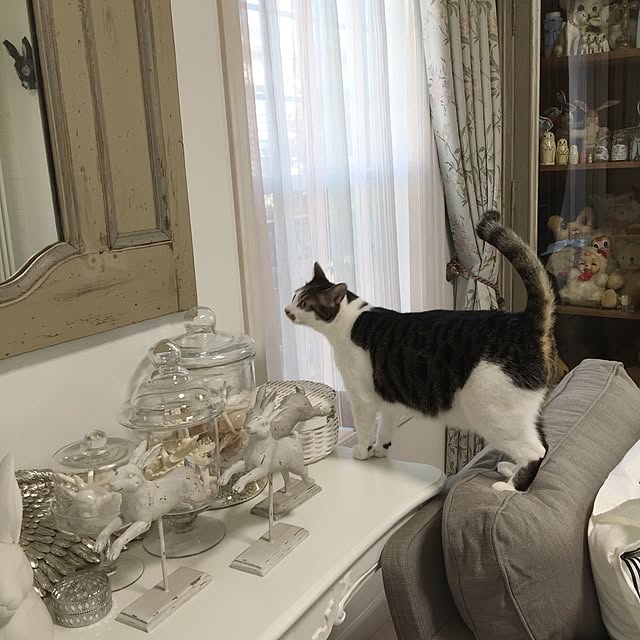 yuchiさんの実例写真
