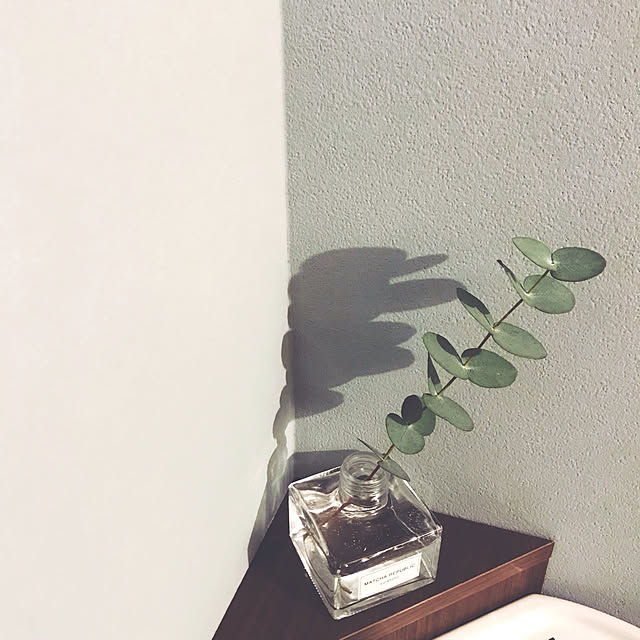 kaichannさんの実例写真