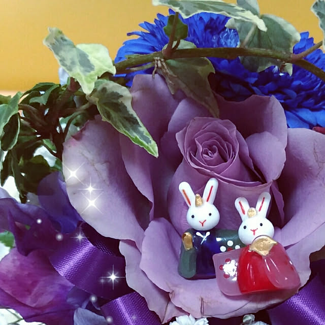 wvo_ovwさんの実例写真