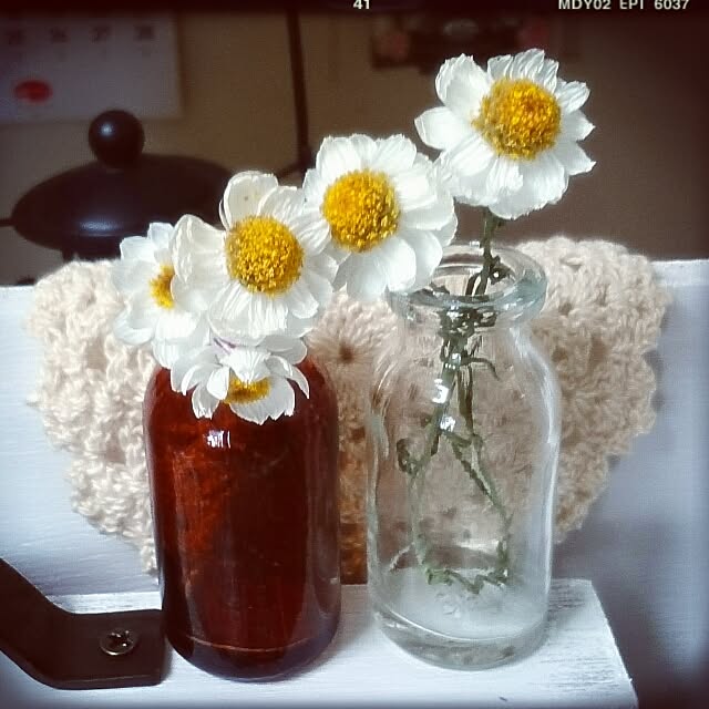 OBTERNIR88filerさんの実例写真