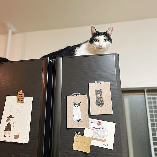 harukaさんの実例写真