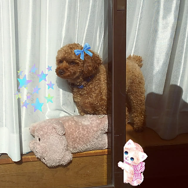 cherrycherryさんの実例写真
