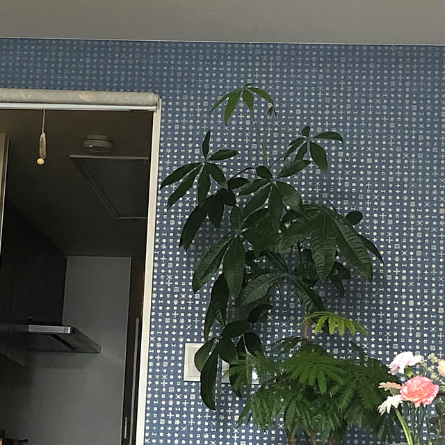 minitomatoさんの実例写真