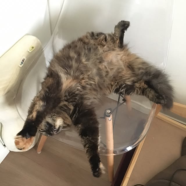 mikomaruさんの実例写真