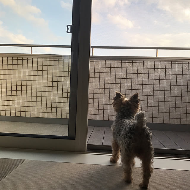 hapikoさんの実例写真