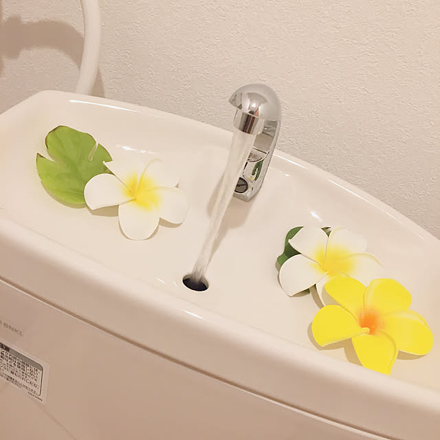 ダイソー/バス/トイレのインテリア実例 - 2020-06-15 23:59:19