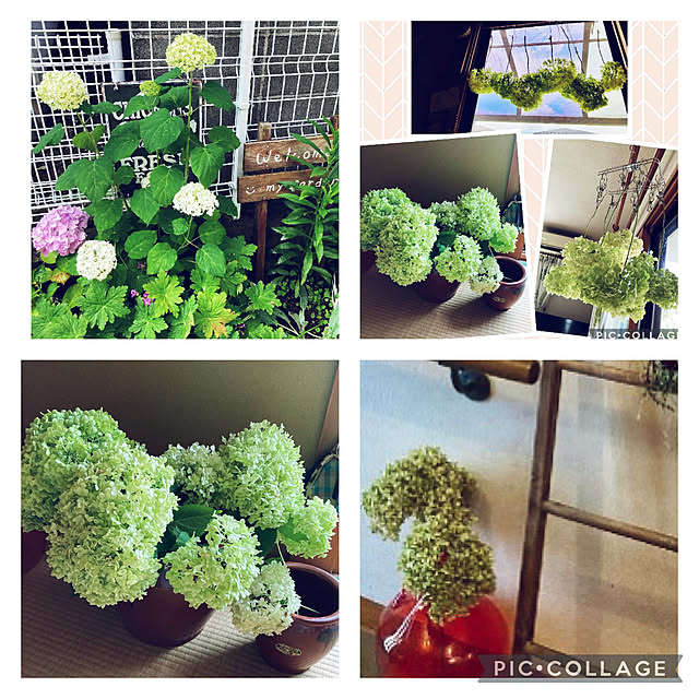 CoCo0617さんの実例写真