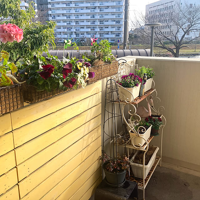 marukoさんの部屋