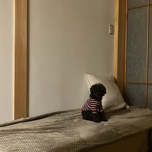 hira_muji_mihiさんの実例写真