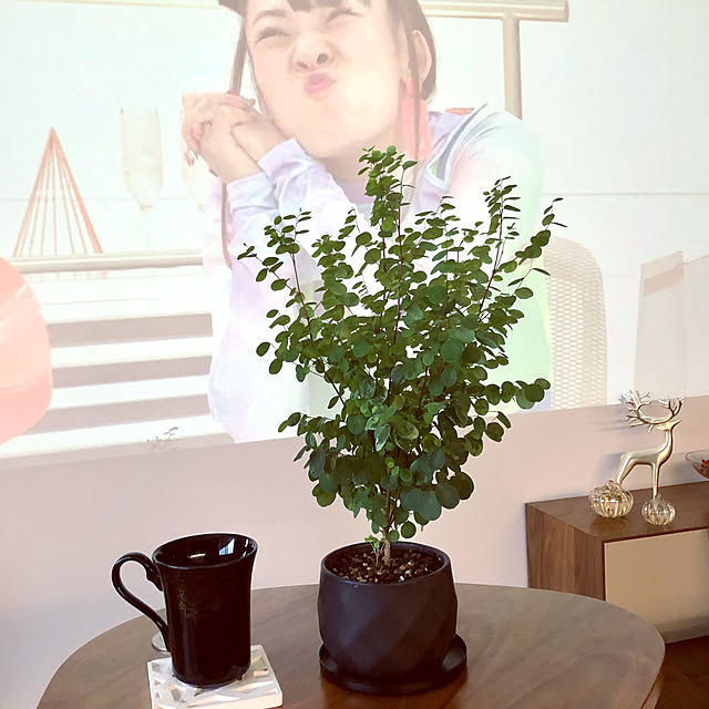 nuruiさんの実例写真
