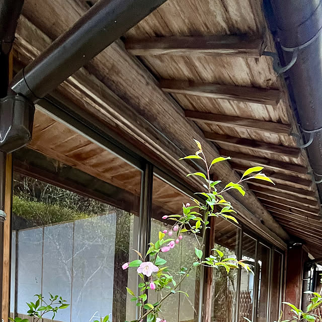cotaさんの部屋