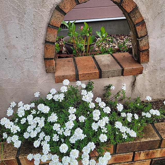 VIORAさんの実例写真