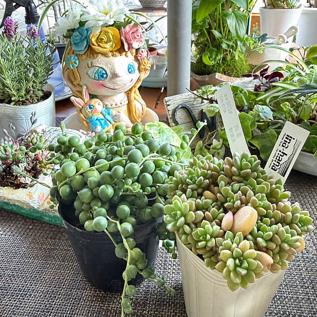 Aqettyさんの部屋