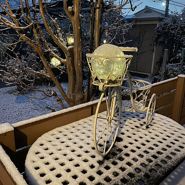 ronronさんの部屋