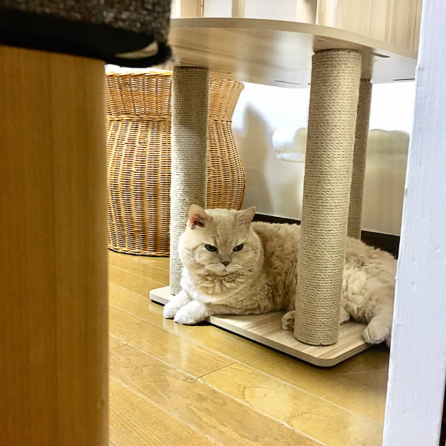 naokoさんの部屋