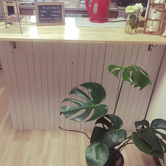 キッチン/DIY/カフェ風/賃貸/観葉植物...などのインテリア実例 - 2016-06-24 21:25:26
