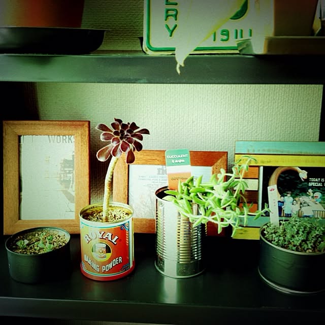 Mckee_8さんの実例写真