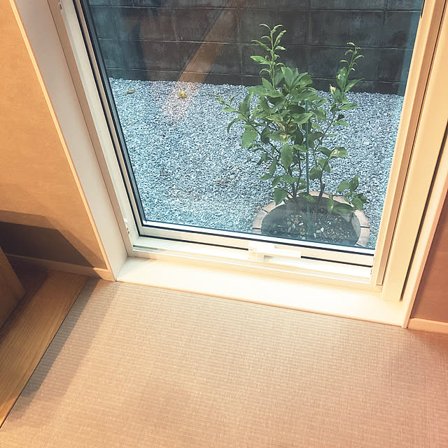 nekojiさんの実例写真