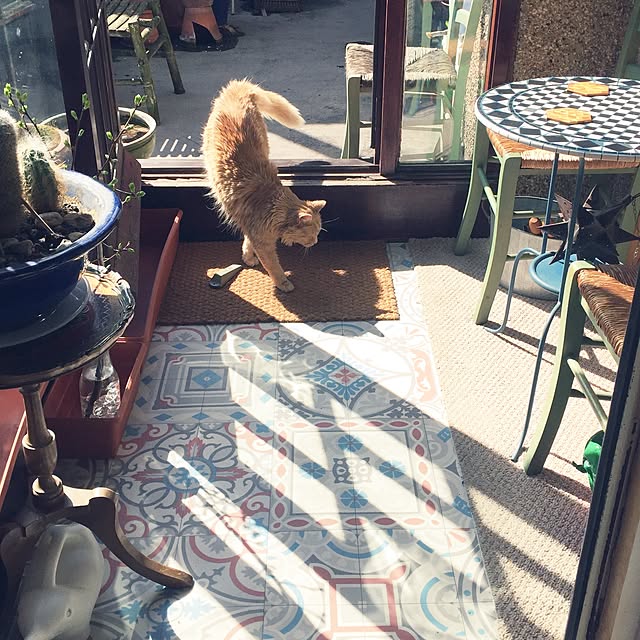 nekohigeさんの実例写真