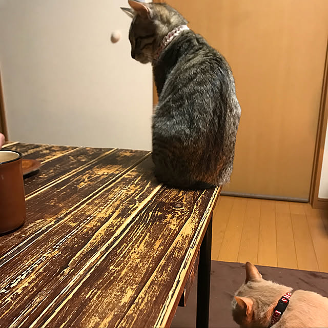 mikan161さんの実例写真