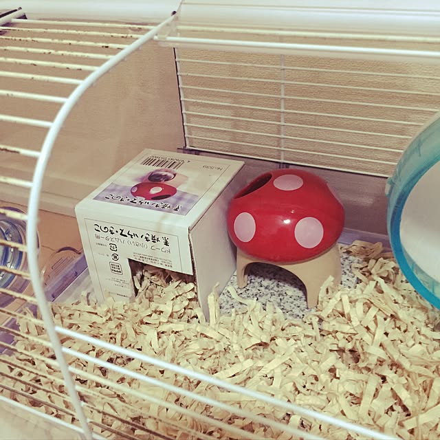 renorenoさんの実例写真
