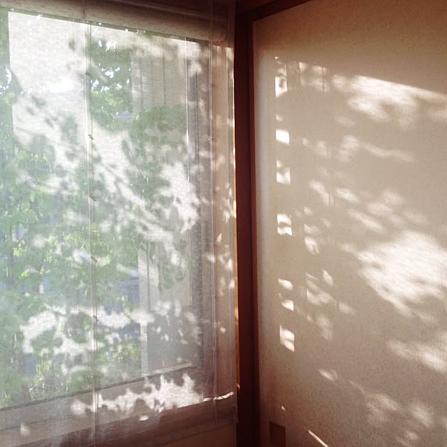biberuさんの実例写真