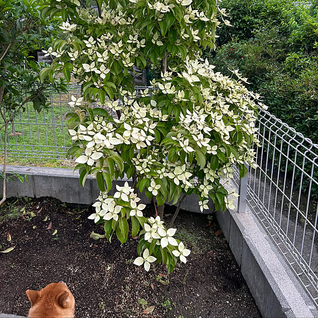 banbinaさんの部屋