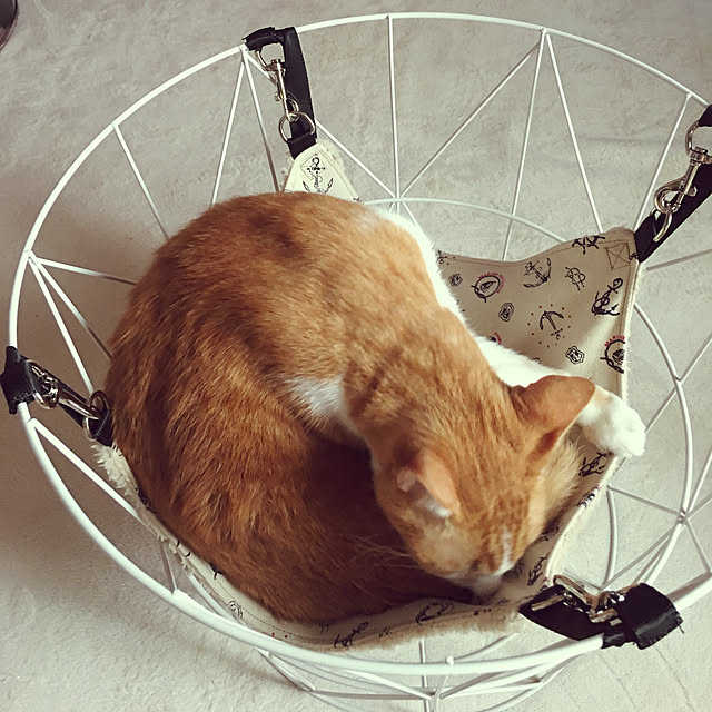 brbrnknkさんの実例写真