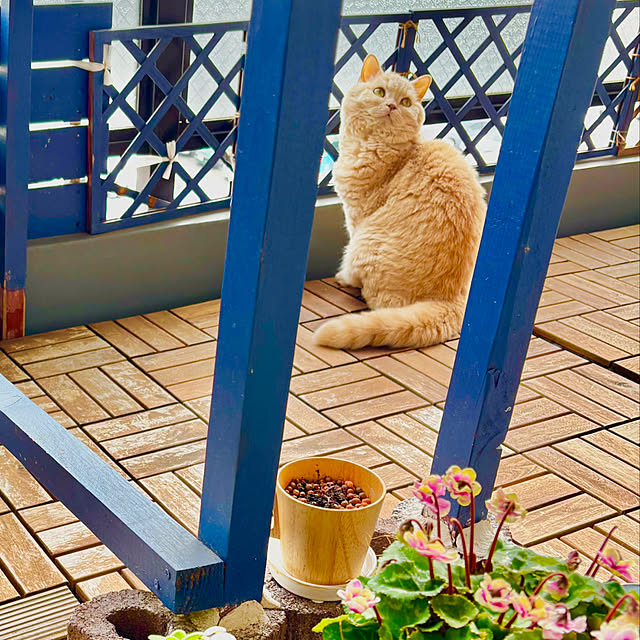 naokoさんの部屋