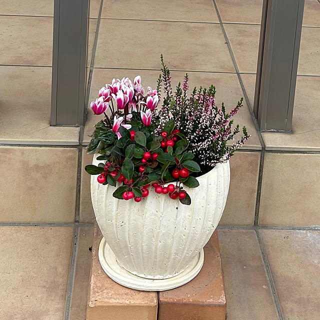 Fuku222さんの実例写真