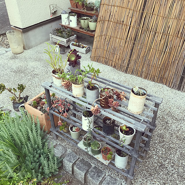 achiranさんの実例写真