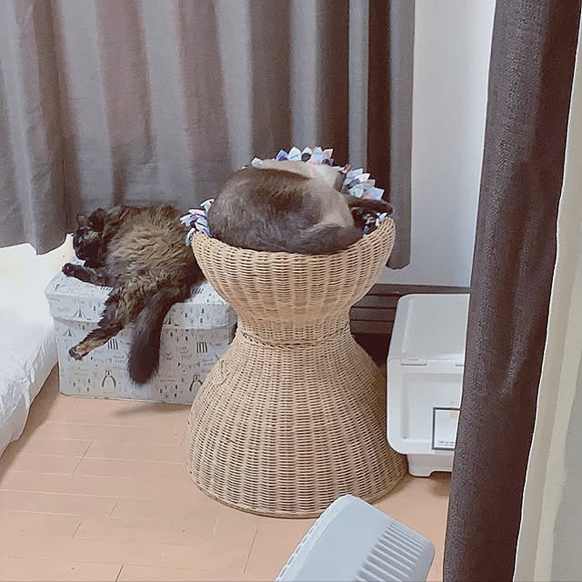 実例写真