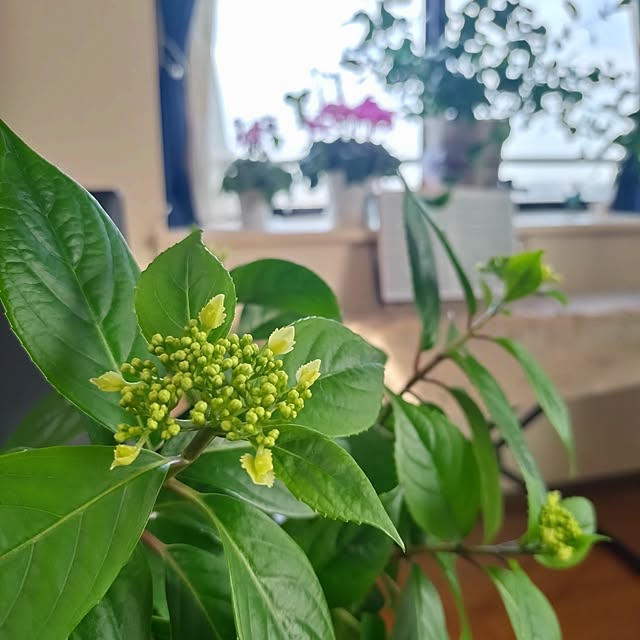 NOAHさんの実例写真