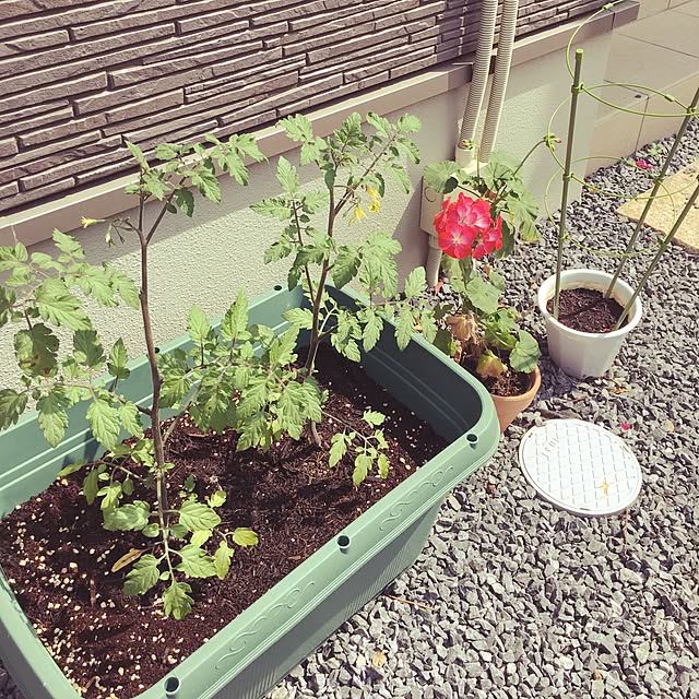 azumi.1079さんの実例写真
