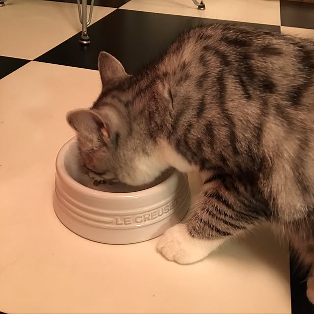Shojiさんの実例写真