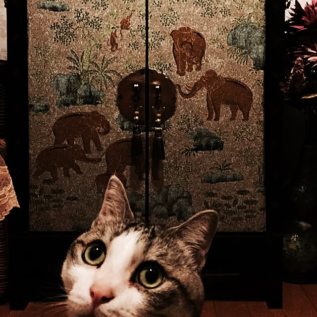 emmyyさんの実例写真