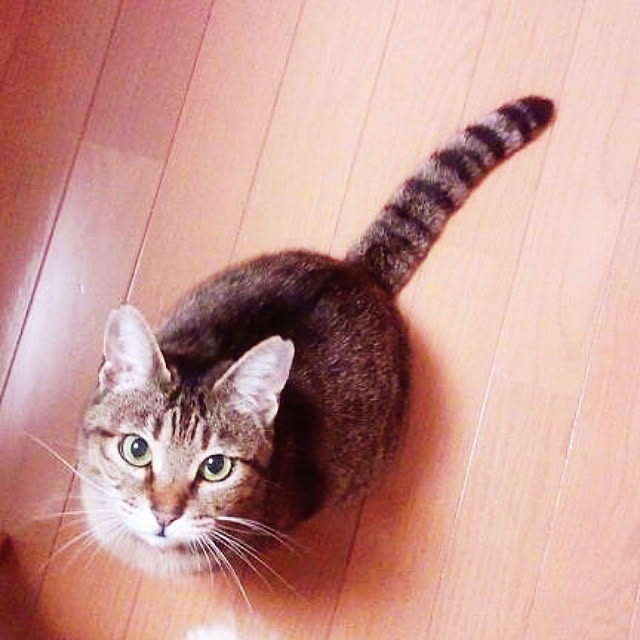 lilyさんの実例写真
