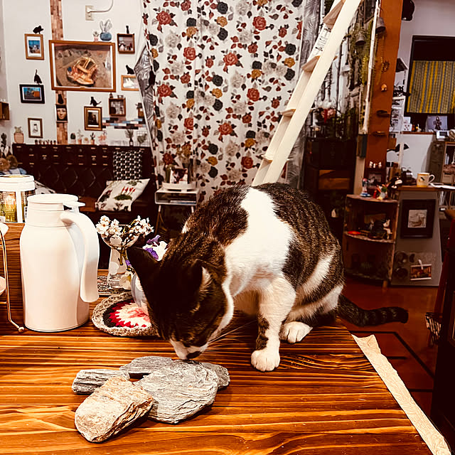 jijiさんの部屋