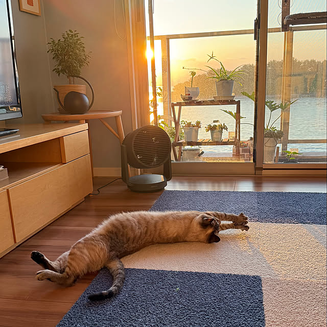 amさんの実例写真