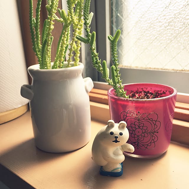 moriketさんの実例写真