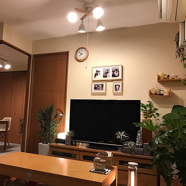 Harumiさんの実例写真