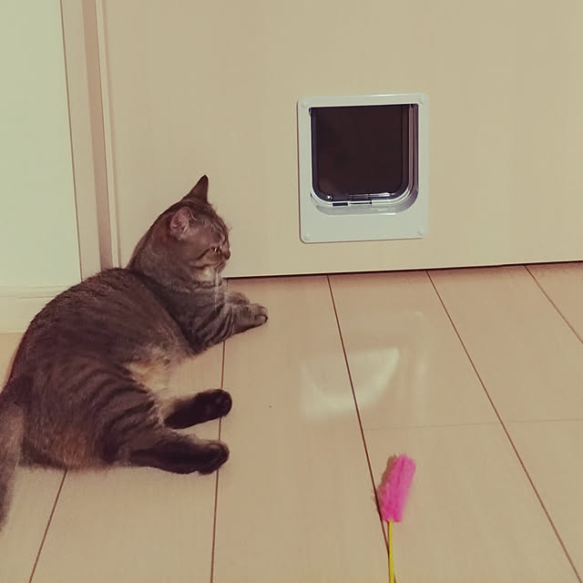 forestさんの実例写真
