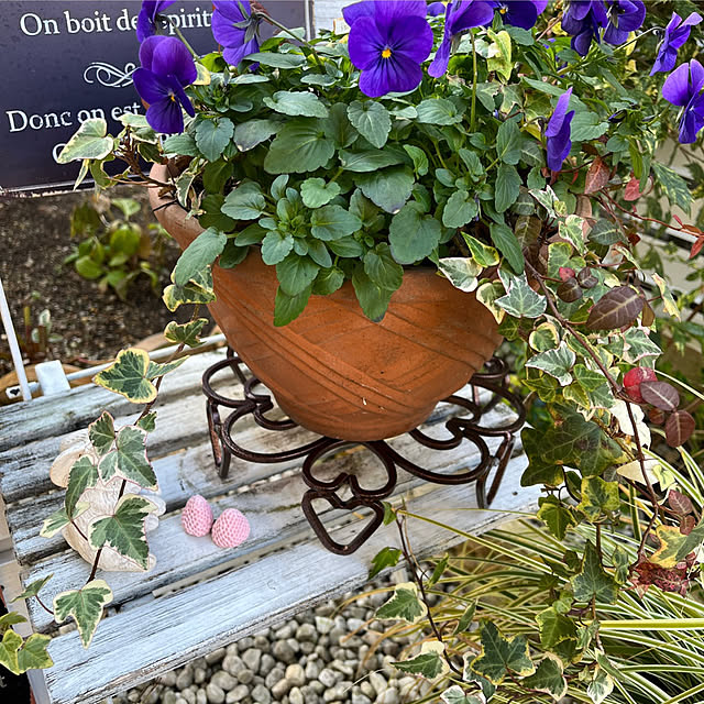 felicityさんの部屋