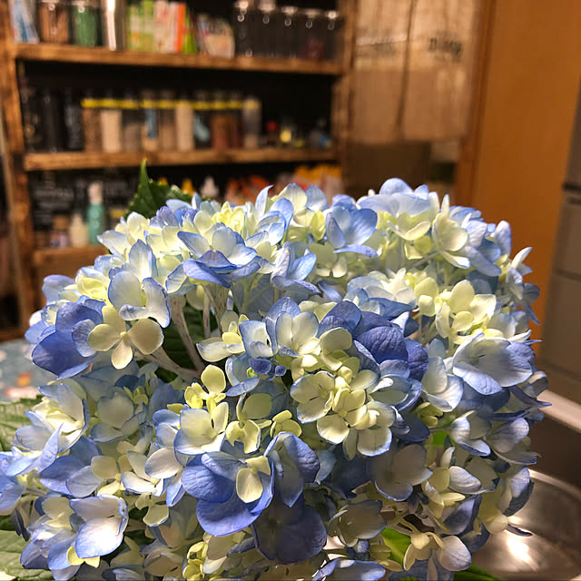 chiikoさんの実例写真