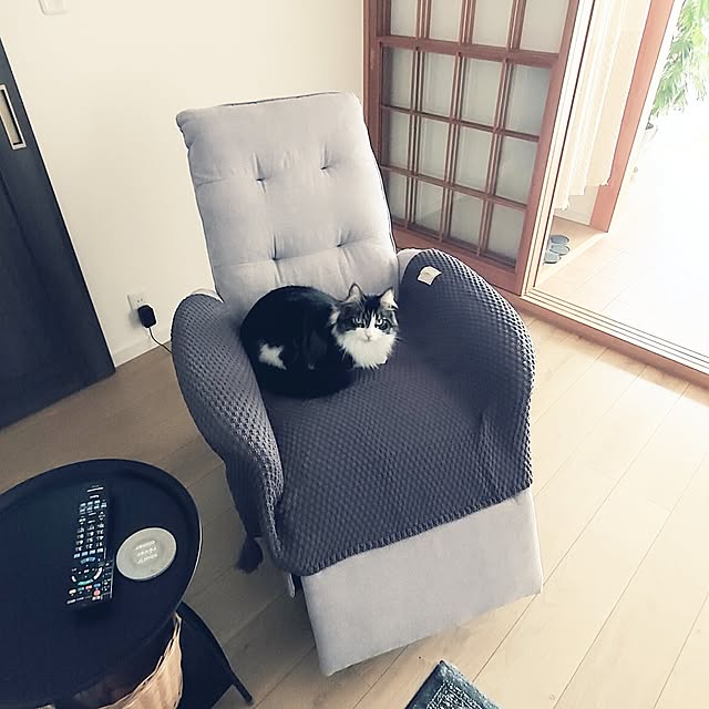 +CHIHARU+さんの部屋