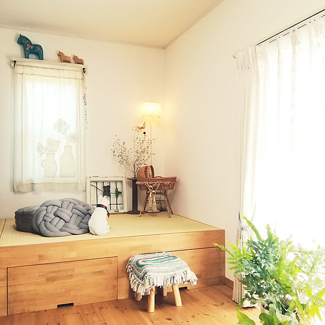 naive.coccoさんの実例写真